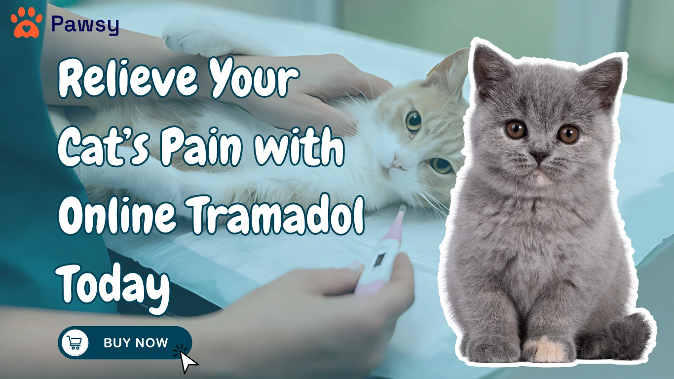 Relieve Your Cat Pain with Online Tramadol Today