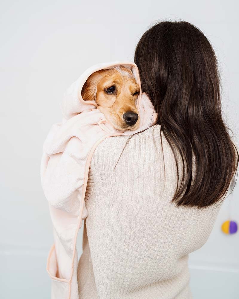 lovely-woman-taking-care-of-her-dog-at-home-in-the-WPPW7W4.jpg